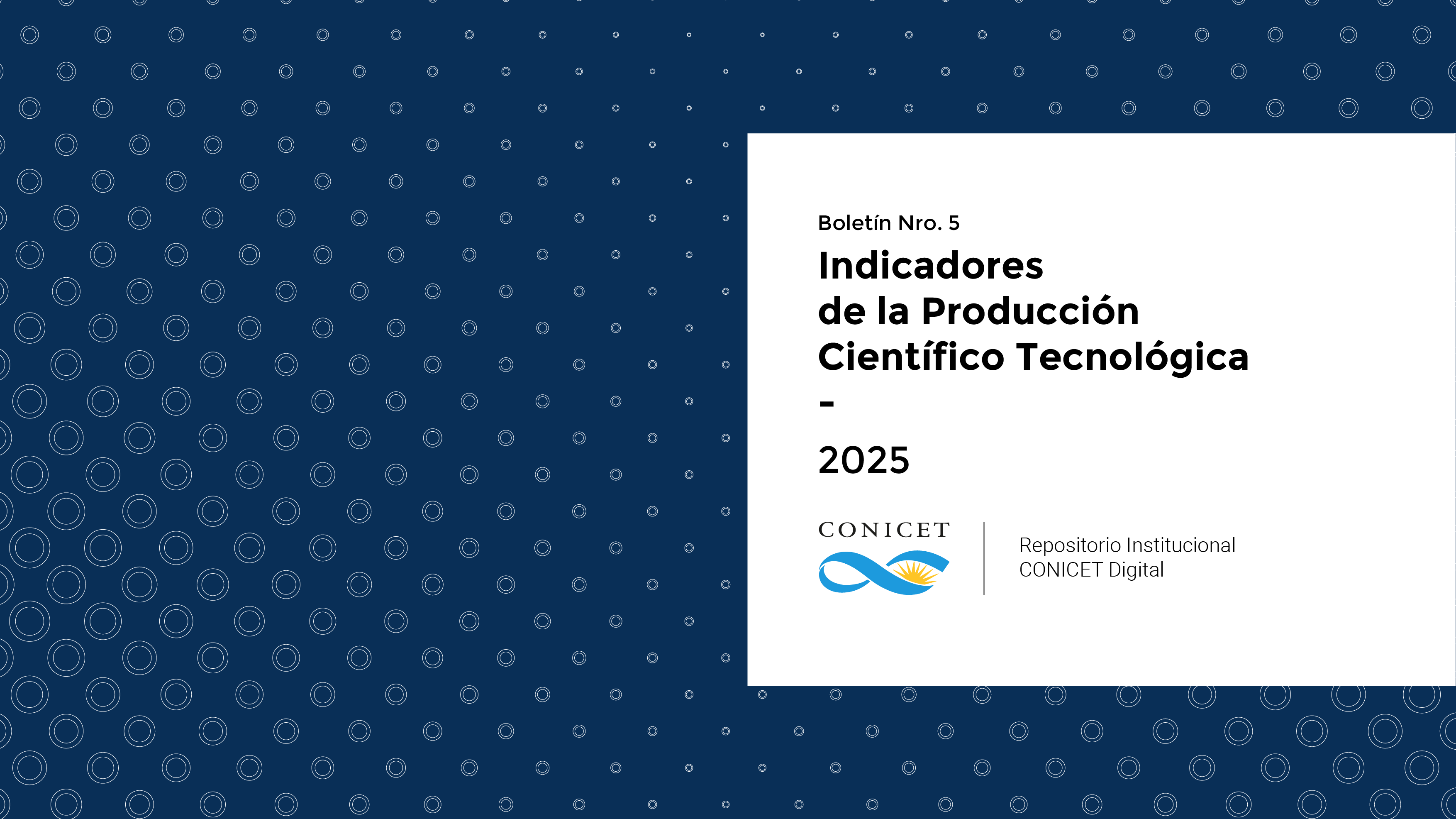 Repositorio Institucional 2025 - Boletín 5_TAPA